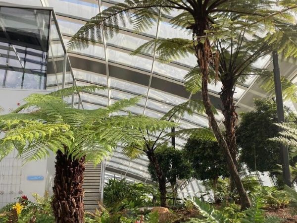 biophilic interiors at the skygarden
