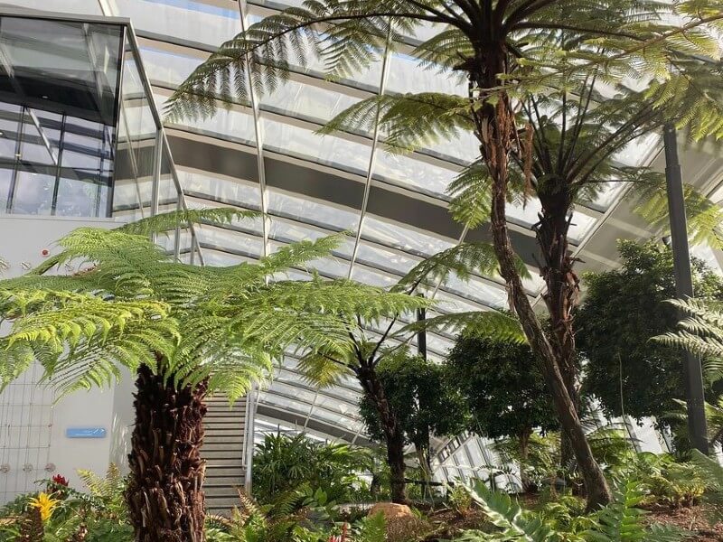 Biophilic interiors skygarden biophilic interiors at the skygarden