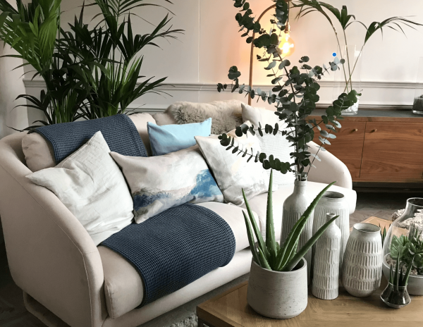 light room full of houseplants