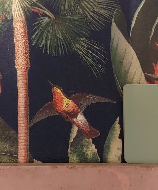 Maximalist palette
